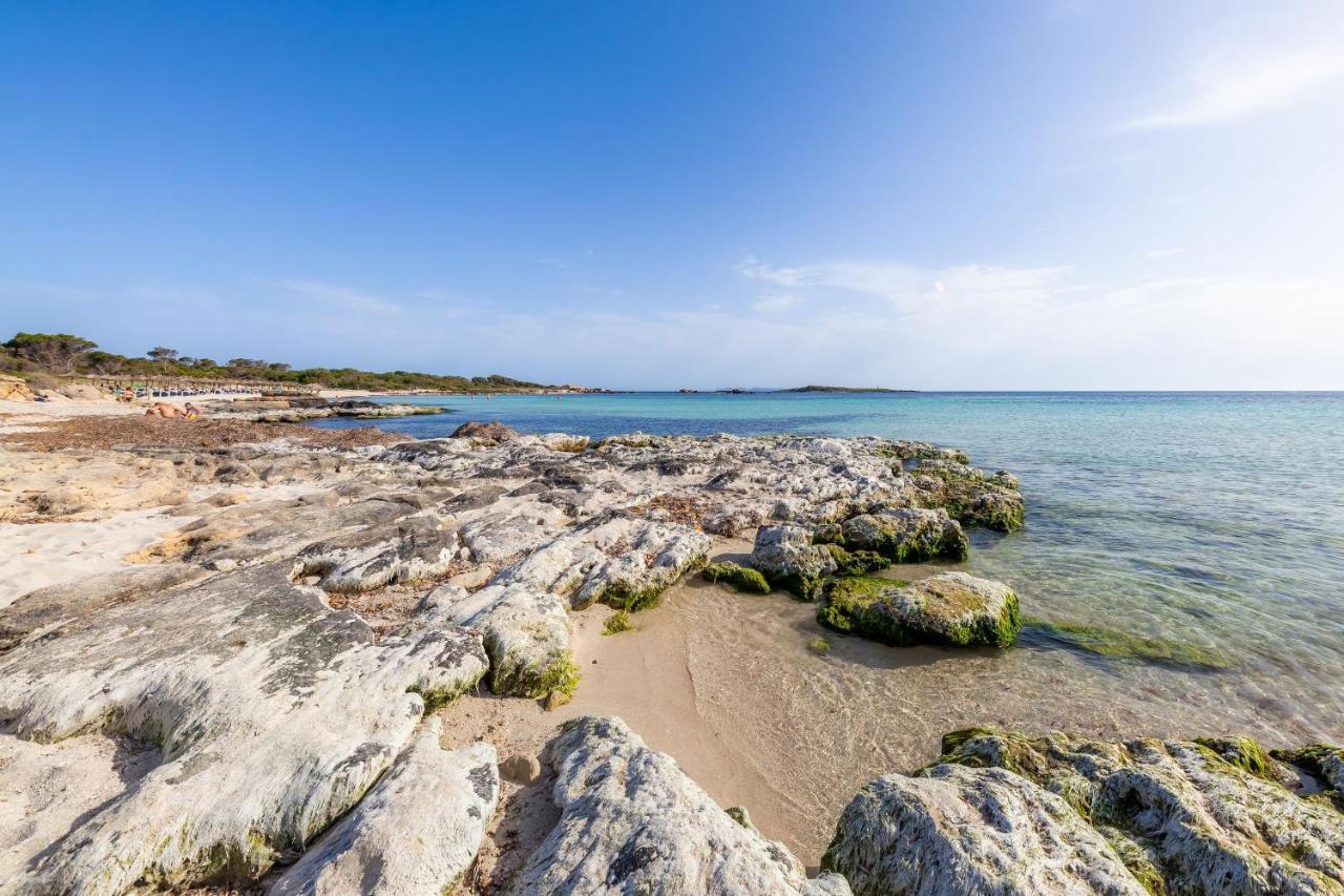 Ses Salines Cottage With Private Pool And Barbecue Dış mekan fotoğraf